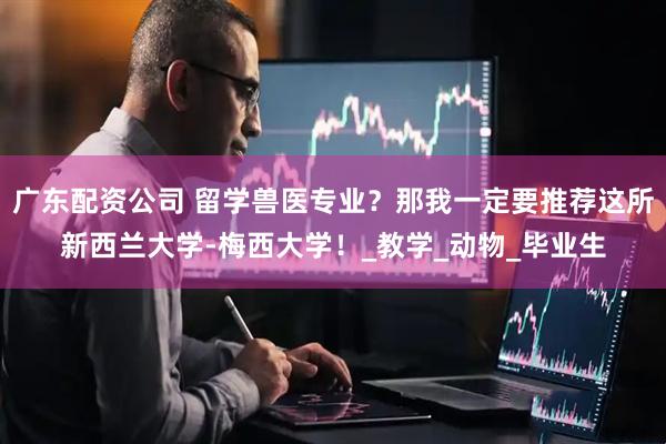 广东配资公司 留学兽医专业？那我一定要推荐这所新西兰大学-梅西大学！_教学_动物_毕业生