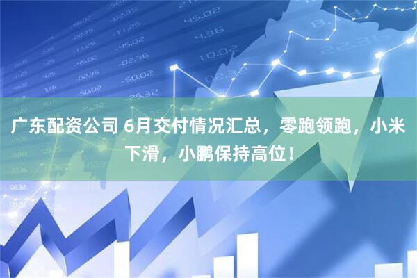 广东配资公司 6月交付情况汇总，零跑领跑，小米下滑，小鹏保持高位！